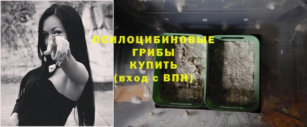 гидропоника Алзамай