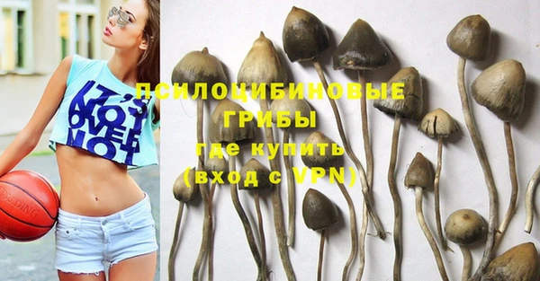прущий лед Алексеевка