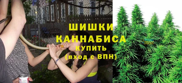 гидропоника Алзамай