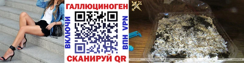 Галлюциногенные грибы Psilocybine cubensis  Лесной 